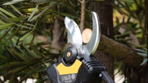 controllo e precisione di un taglio tramite forbice elettrica